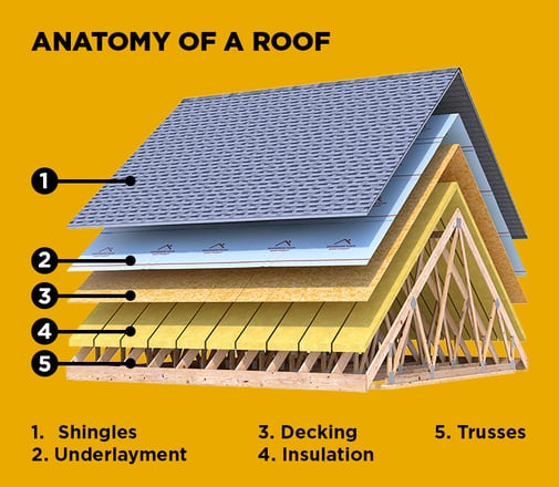 anatomy of roof