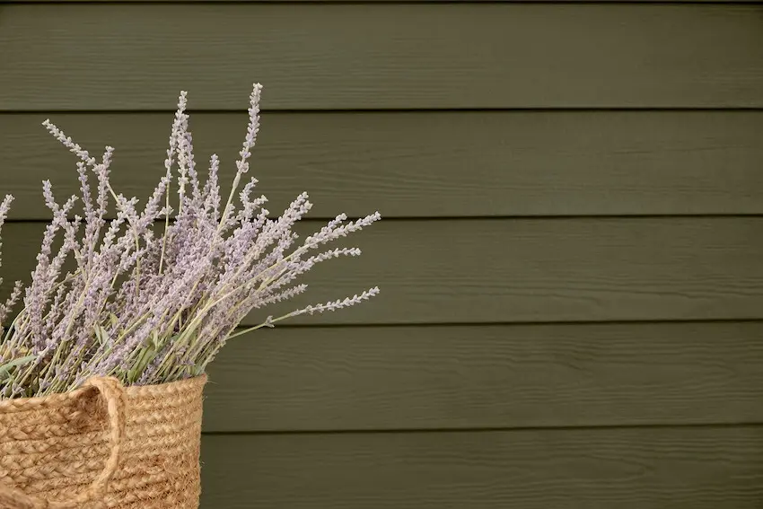 RS26489_JamesHardie_Shot05_022-scr